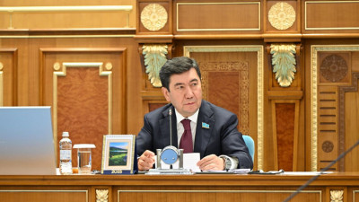 Үкімет қорытындыларын кейде 7 ай күтеміз – Қошанов