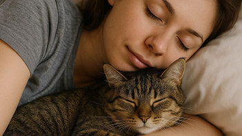 Фотография к новости: Мысықты құшақтап ұйықтаған дұрыс па? Сарапшылар не дейді?