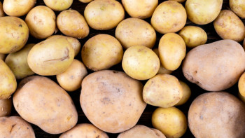 Фотография к новости: Павлодар базарларында картоп пен өріктен рұқсатсыз нитраттар табылды