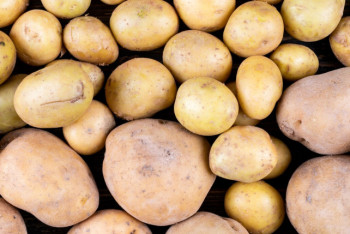 Фотография к новости: Павлодар базарларында картоп пен өріктен рұқсатсыз нитраттар табылды