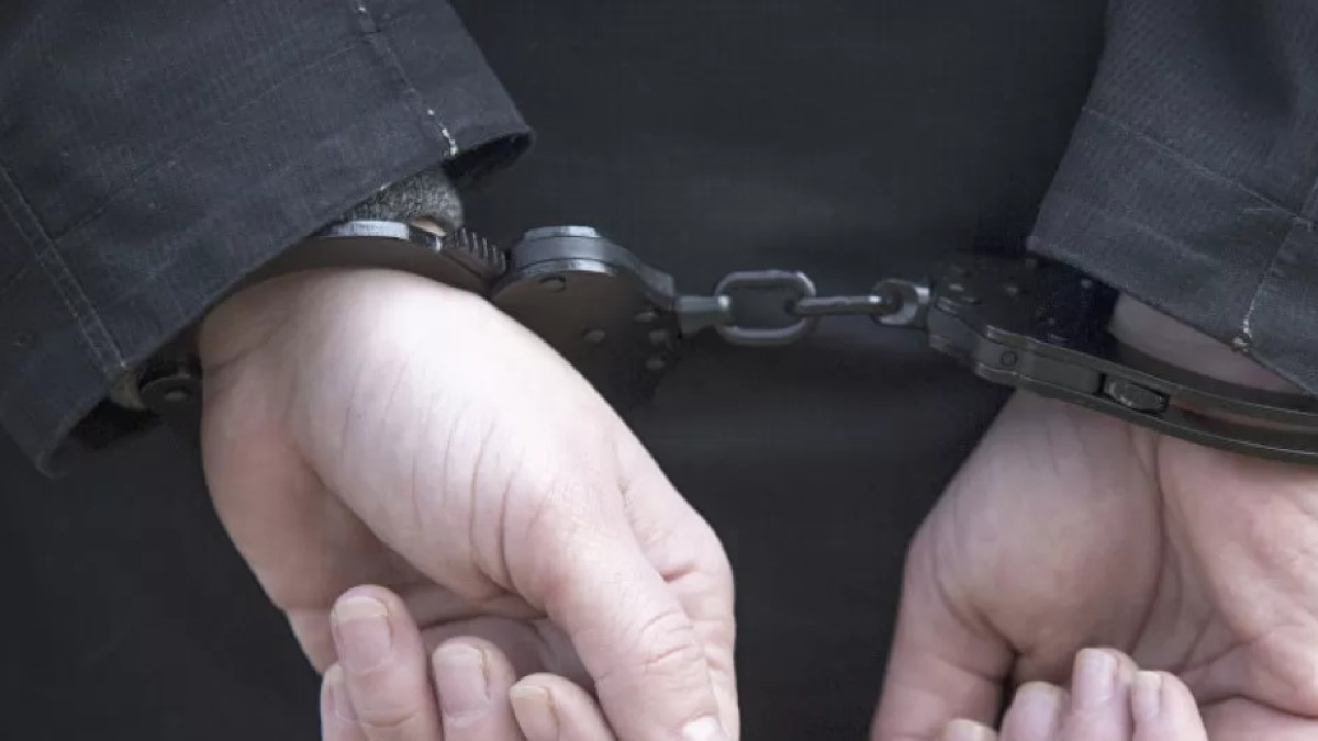  forma-odezhda – ашық дереккөз