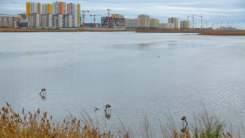 Фотография к новости: Астанадағы Талдыкөлге қатысты тексеру жүріп жатыр