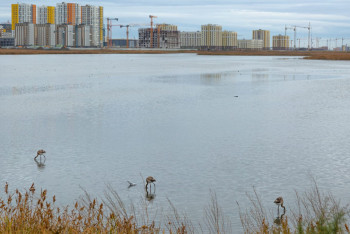 Фотография к новости: Астанадағы Талдыкөлге қатысты тексеру жүріп жатыр