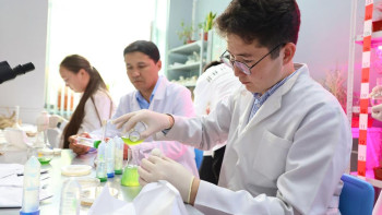 Фотография к новости: Отандық жас ғалымдар бұзылған аумақтарды қалпына келтірудің тың әдісін ұсынды