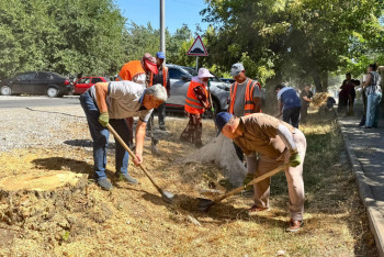 Фотография к новости: «Таза бейсенбі»: Өңірлерде экологиялық акция қарқынды жүргізілуде