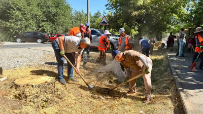 «Таза бейсенбі»: Өңірлерде экологиялық акция қарқынды жүргізілуде