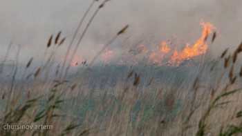 Фотография к новости: Абай облысындағы алапат өрт қайталануы мүмкін бе?