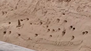 Фотография к новости: Атырау облысында тірі балапандар ұяcымен бірге құм астында қалды