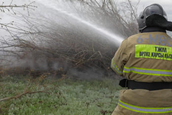 Фотография к новости: ТЖМ: Қазақстанда өрт қаупі күшейіп тұр