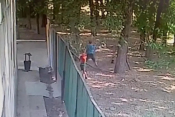 Фотография к новости: Баланы қапқан ит: Бақылау камерасынан видео жарияланды