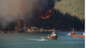 Фотография к новости: Түркиядағы өрт: Өрт танымал курорттарға жетті