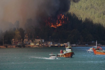 Фотография к новости: Түркиядағы өрт: Өрт танымал курорттарға жетті