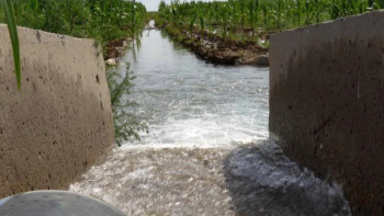 Фотография к новости: Түркістанда жаңадан 72 тік дренажды ұңғыма қолданысқа берілді