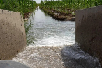 Фотография к новости: Түркістанда жаңадан 72 тік дренажды ұңғыма қолданысқа берілді