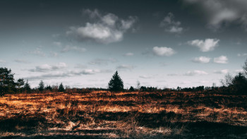 Фотография к новости: Сербияда бір күнде 620 табиғи өрт тіркелді