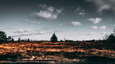 Сербияда бір күнде 620 табиғи өрт тіркелді