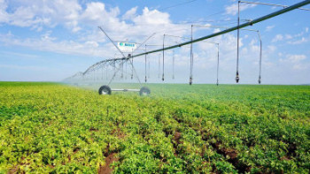 Фотография к новости: Түркістан облысында суару тәртібін бұзған 65 дерек тіркелді