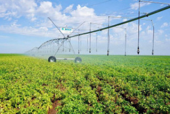 Фотография к новости: Түркістан облысында суару тәртібін бұзған 65 дерек тіркелді