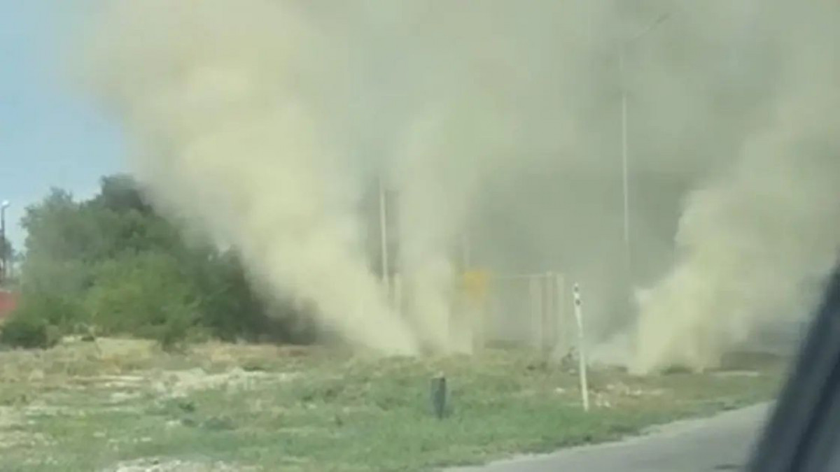  видеодан скриншот