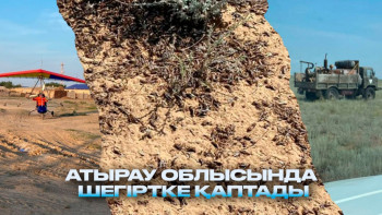 Фотография к новости: "Шаруалар дабыл қақты": Атырауда шегіртке жайылымдарды отап жатыр