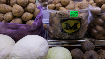 Фотография к новости: Азық-түлік нарығы: жұмыртқа мен көкөніс арзандады