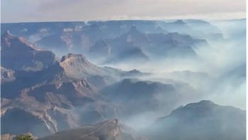 Фотография к новости: Орман өрті: Үлкен каньонның бір бөлігі жабылды