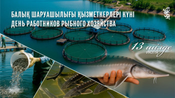 Фотография к новости: Бүгін – балық шаруашылығы қызметкерлерінің кәсіби мерекесі