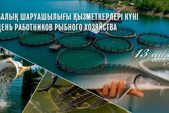 Бүгін – балық шаруашылығы қызметкерлерінің кәсіби мерекесі
