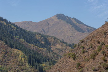 Фотография к новости: Көкжайлауда тау шаңғысы курортының құрылысы басталады