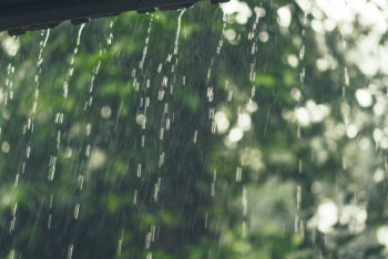 Фотография к новости: Нөсер және бұршақ: 16 облыста дауылды ескерту жарияланды