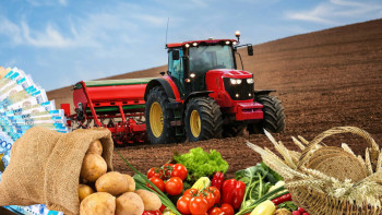 Фотография к новости: Биыл елде астық экспорты рекордтық көрсеткішке жетті