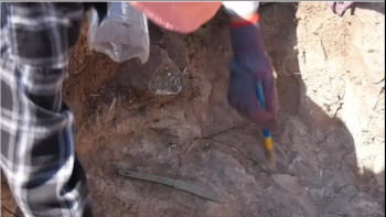 Фотография к новости: Cақ дәуіріне тиесілі сирек кездесетін екі қола пышақ табылды