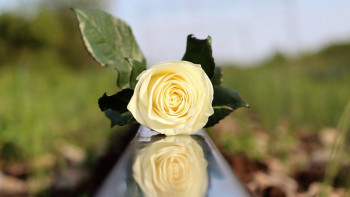 Фотография к новости: Қазақстанда суицид саны азайды ма?