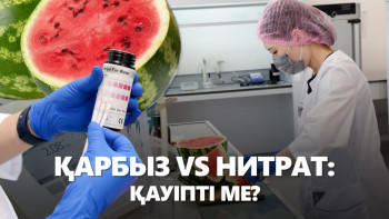 Фотография к новости: Қарбызда "химия" бар ма? BAQ.KZ зерттеп көрді