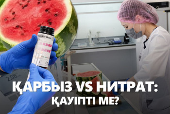 Фотография к новости: Қарбызда "химия" бар ма? BAQ.KZ зерттеп көрді