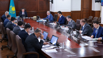 Фотография к новости: Оңтүстіктегі егістікке қауіп төніп тұр ма? Үкімет шара қабылдап жатыр