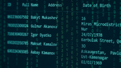 Интернетте 16 млн қазақстандықтың дерегі жайлы шу: министрлік не істеді?