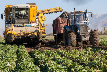 Фотография к новости: Жетісуға қосымша қант зауыты қажет пе?