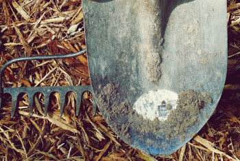 Фотография к новости: Ақмолалық әйел ұлын күрекпен ұрып, саусағын сындырған