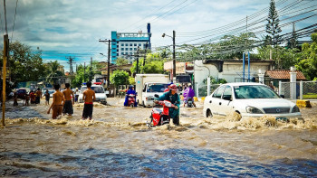 Фотография к новости: Оңтүстік Кореяда нөсер жаңбырдан қаза тапқандар саны 18-ге жетті