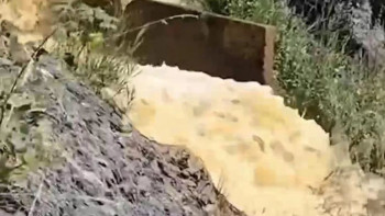 Фотография к новости: Алматы өзендерінде сарғыш су ақты: "Алматы Су" себебін түсіндірді