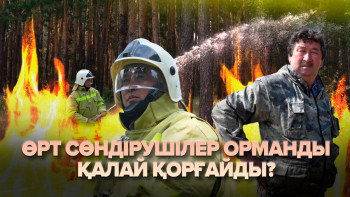 Фотография к новости: Орман үшін отқа түскен өрт сөндірушілер