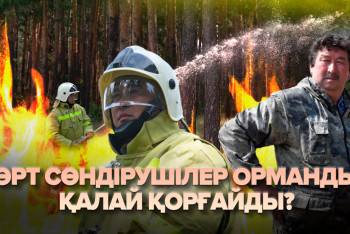 Фотография к новости: Орман үшін отқа түскен өрт сөндірушілер