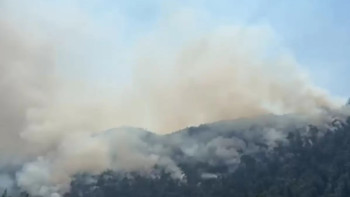 Фотография к новости: Эскишехирдегі орман өртін сөндіру кезінде 11 орманшы қаза тапты