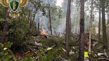 Фотография к новости: Ресейдегі ұшақ апатынан аман қалғандар бар ма?