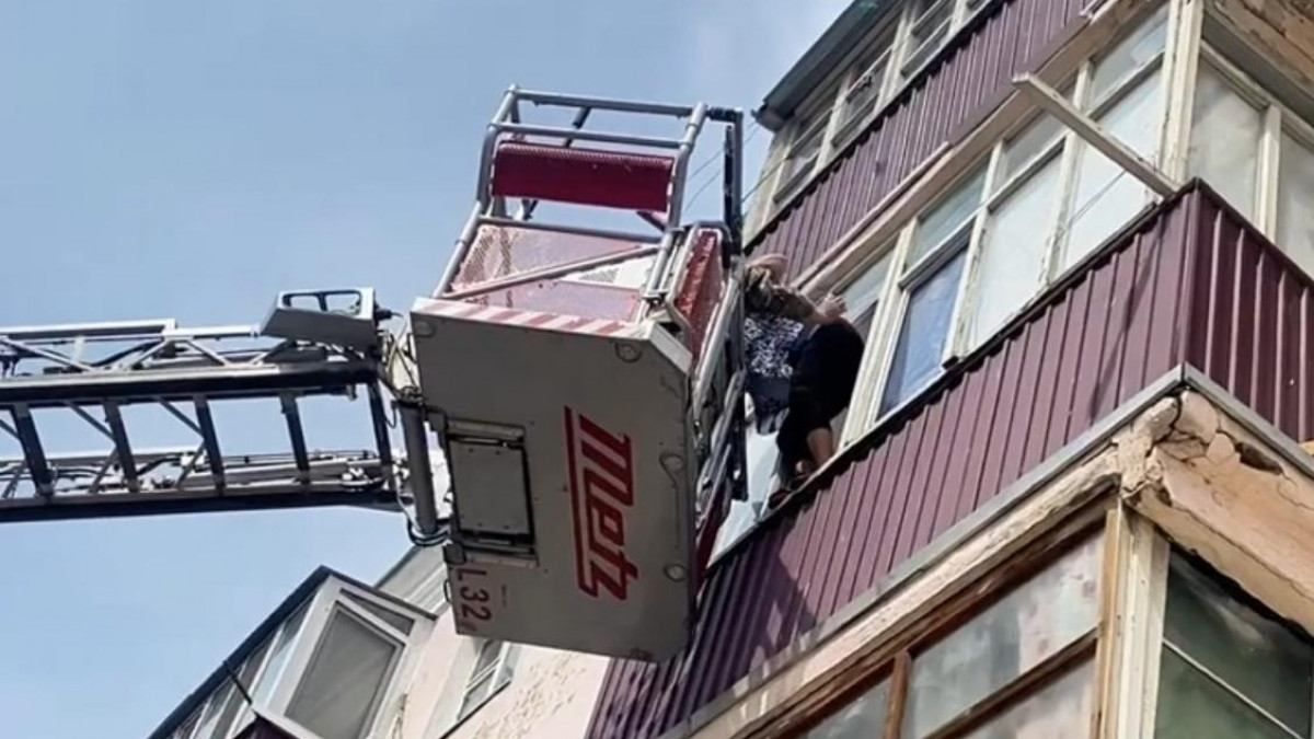  видеодан скриншот