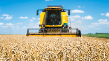 Фотография к новости: Ақмола облысында егін ору науқаны басталды