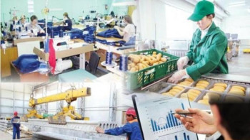 Фотография к новости: Елімізде 250 мың адам жұмыспен қамтылды