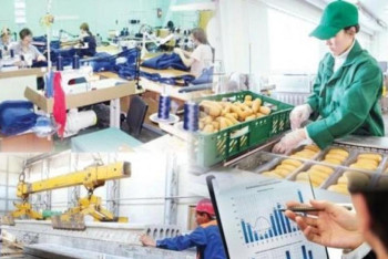 Фотография к новости: Елімізде 250 мың адам жұмыспен қамтылды