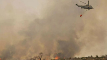 Фотография к новости: Түркиядағы орман өртіне қатысы бар 17 адам ұсталды